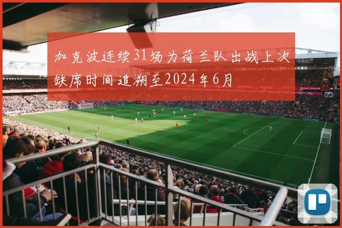 加克波连续31场为荷兰队出战上次缺席时间追溯至2024年6月