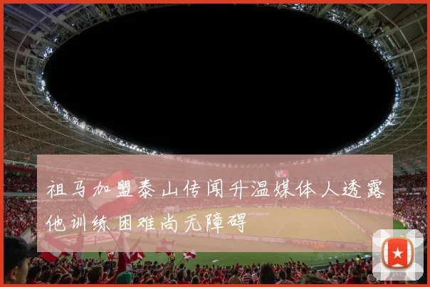 祖马加盟泰山传闻升温媒体人透露他训练困难尚无障碍