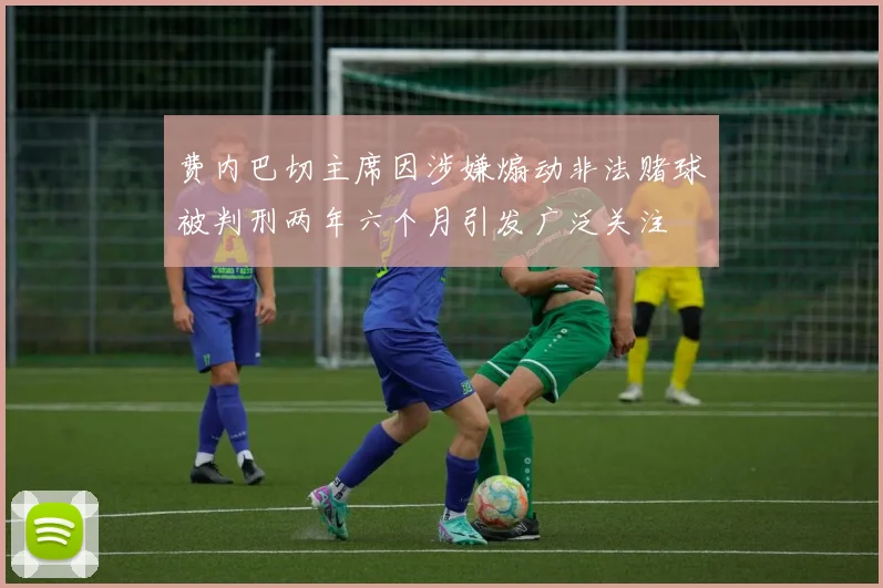 费内巴切主席因涉嫌煽动非法赌球被判刑两年六个月引发广泛关注