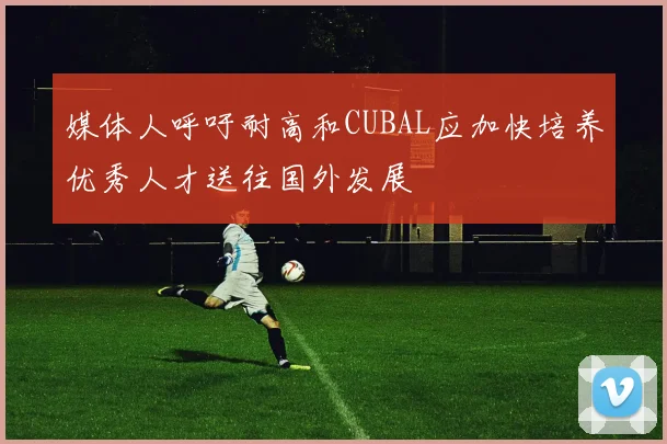 媒体人呼吁耐高和CUBAL应加快培养优秀人才送往国外发展